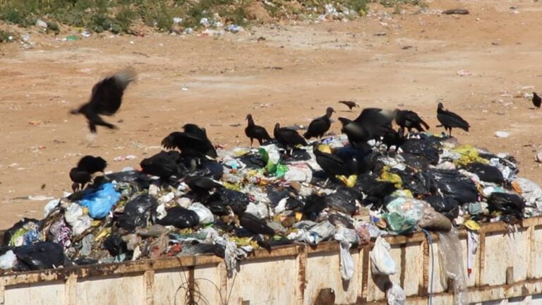 Região de Andradina – Preso por depositar lixo em aterro interditado, prefeito espera ser libertado nesta 5ª feira