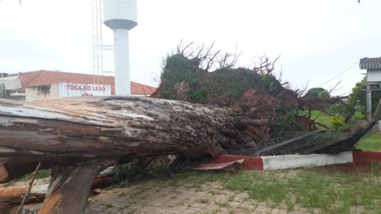 RESCALDO – Tempestade assusta, afeta fornecimento de luz e de água e provoca estragos em Marília
