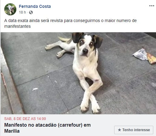 Marília – DEFENSORES DE ANIMAIS VÃO PROTESTAR NO ATACADÃO CONTRA MORTE DE CACHORRO