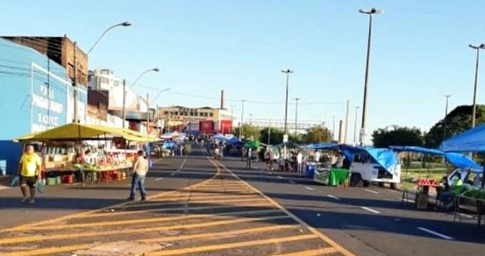 FEIRA_volta 2 (1)