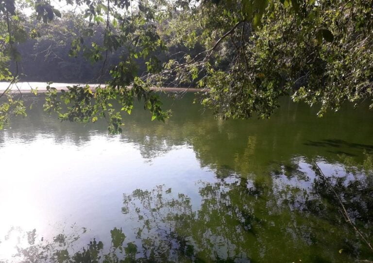 Privilégio – NASCENTE DO BOSQUE É ESCOLHIDA COMO MODELO DO ‘MUNICÍPIO VERDE-AZUL’
