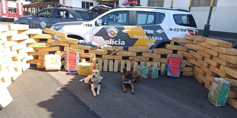 MAIS DE UMA TONELADA DE MACONHA ESTAVA EM BAÚ DE CAMINHÃO