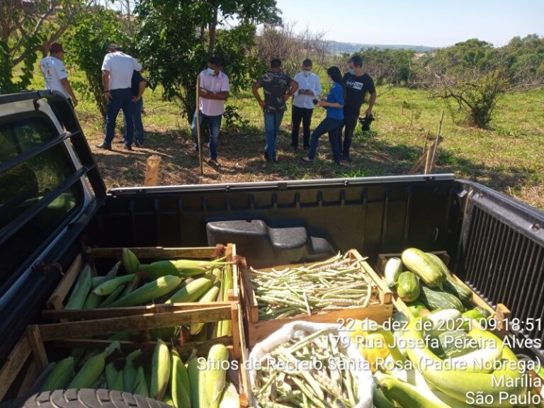 PROJETO AGROFLORESTA REALIZA A ENTREGA DE ALIMENTOS