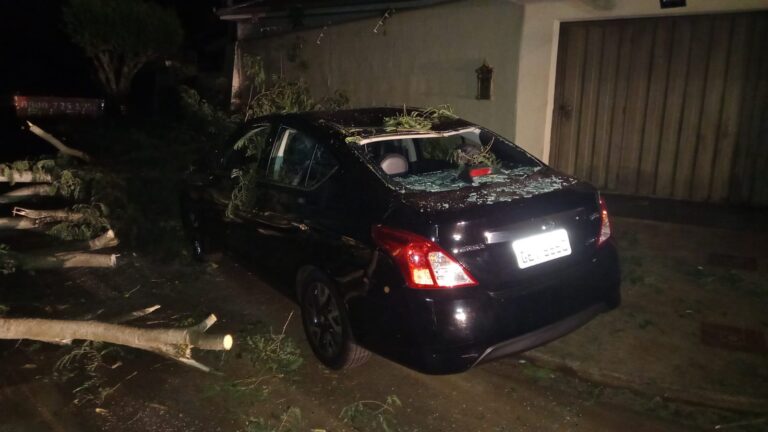 QUEDA DE GALHO ATINGE CARRO, 2 PESSOAS E, POR POUCO, UMA CRIANÇA