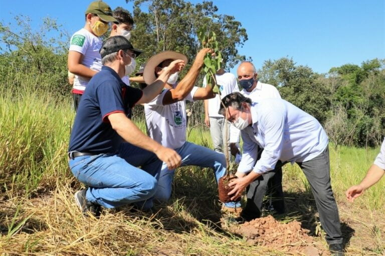 Cidade é a 32.a no ranking ambiental paulista; CONFIRA