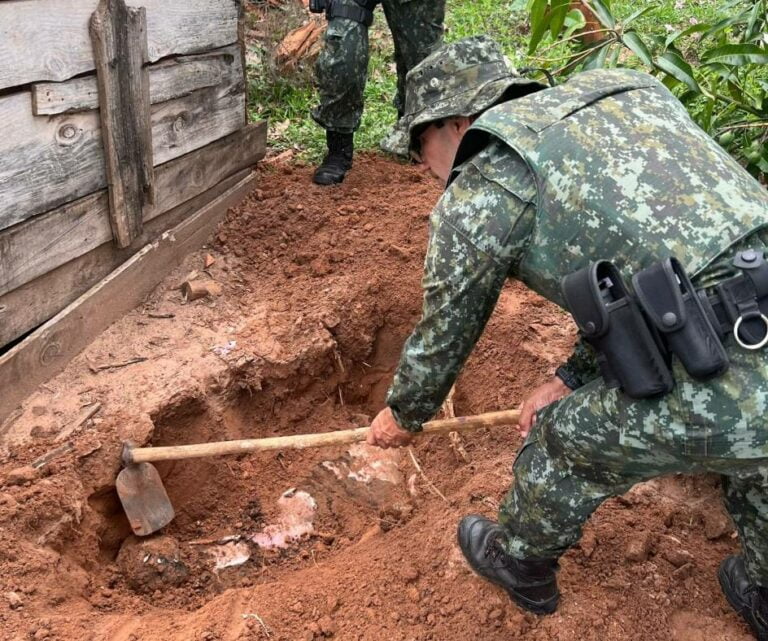 Homem é multado em R$ 10 mil por matar onça-parda em sítio