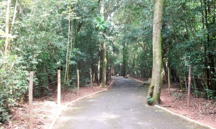 bosque-mra 2 (1)