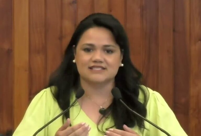 Câmara vota 4 projetos, entre eles crédito para ponte e direito de pessoa com TEA