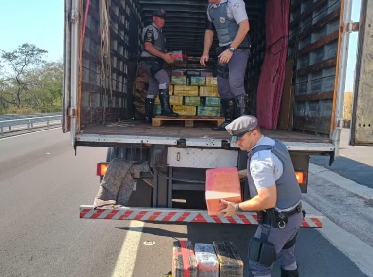 Caminhão com 1,5 tonelada de maconha em meio a livros é flagrado na SP-333