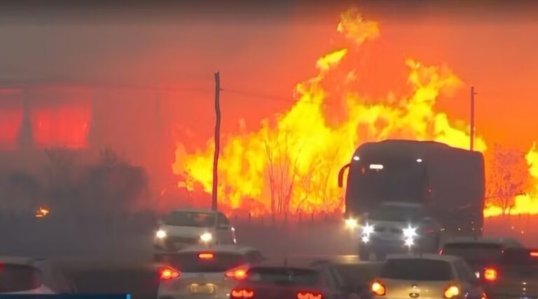 Dois são presos por incêndios criminosos; em vídeo, homem comemorava fogo