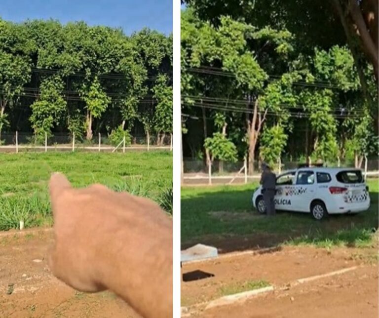 Corpo de homem é carbonizado no campo municipal em Jaú; só pés não queimaram